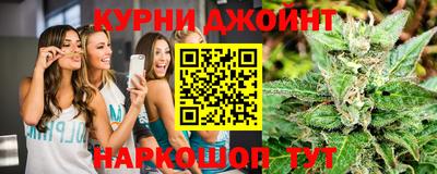 индика Ирбит