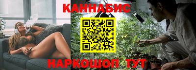 индика Ирбит