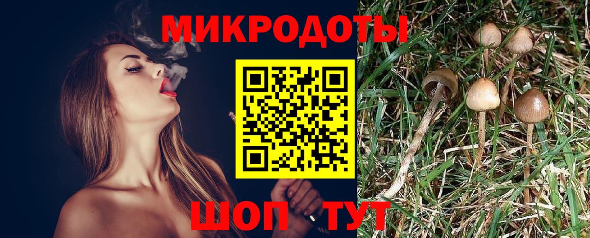 Псилоцибиновые грибы GOLDEN TEACHER Владивосток